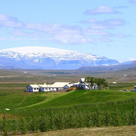 Guesthouse Steindorsstadir, West Iceland Reykholt Kültér fotó