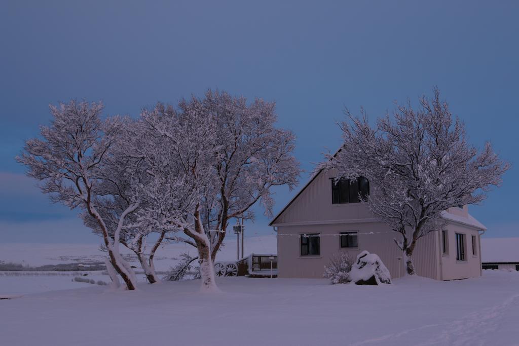 Guesthouse Steindorsstadir, West Iceland Reykholt Kültér fotó