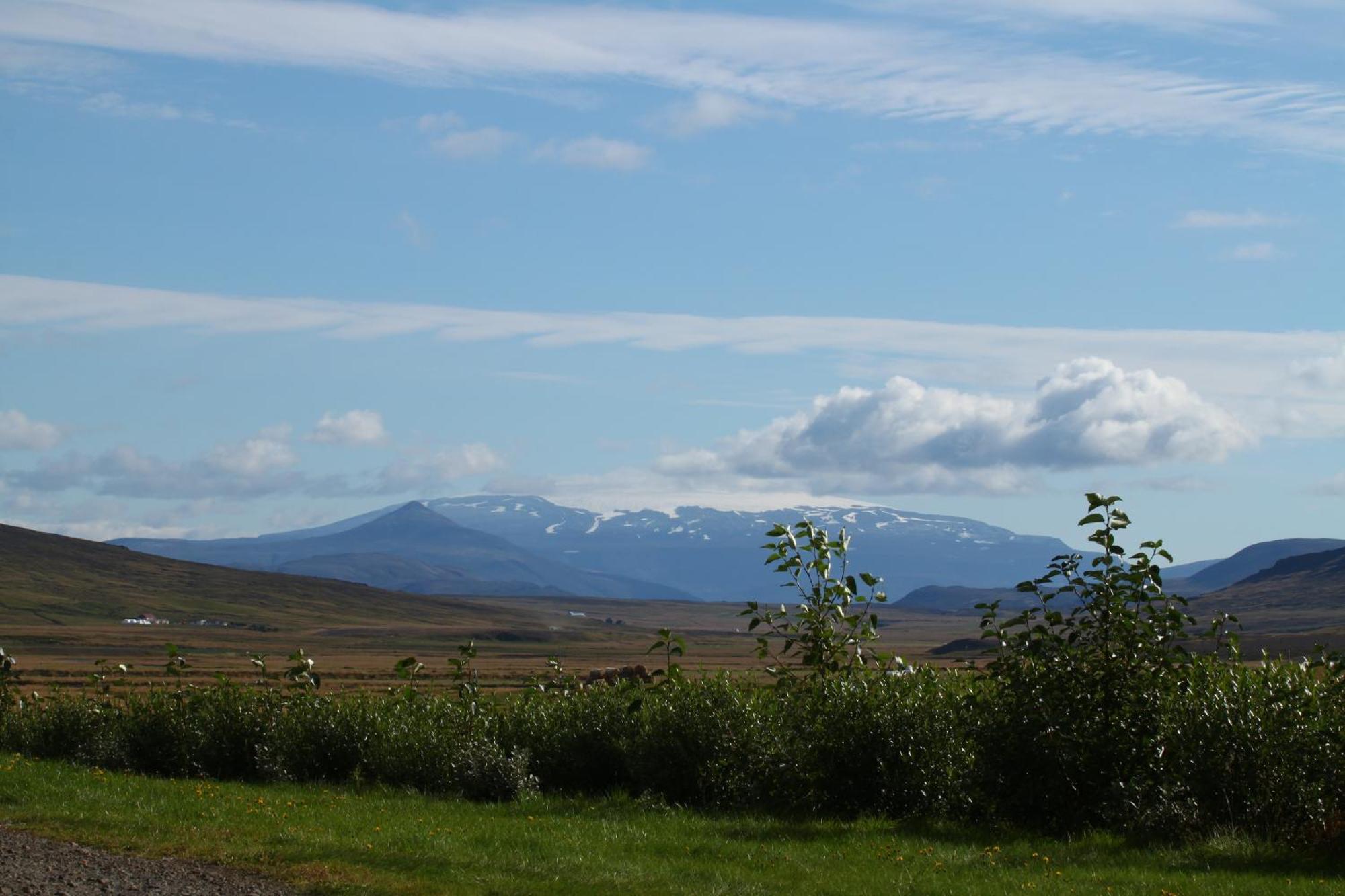 Guesthouse Steindorsstadir, West Iceland Reykholt Kültér fotó