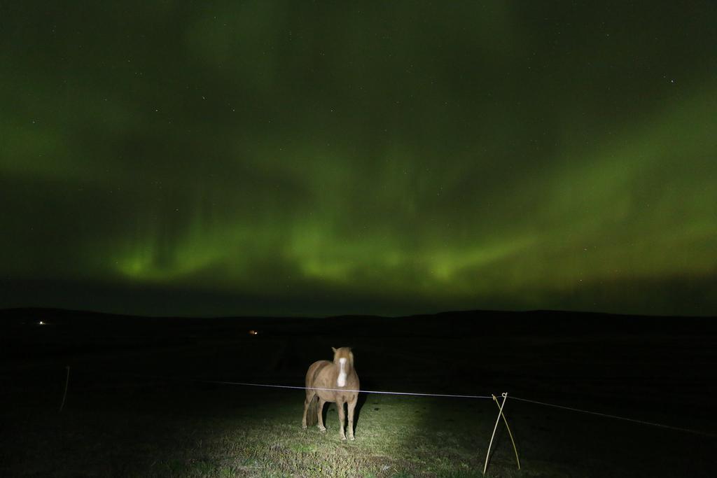 Guesthouse Steindorsstadir, West Iceland Reykholt Kültér fotó